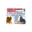 Hodowla Owczarków Niemieckich z Maleni Tomasz Kaczmarek