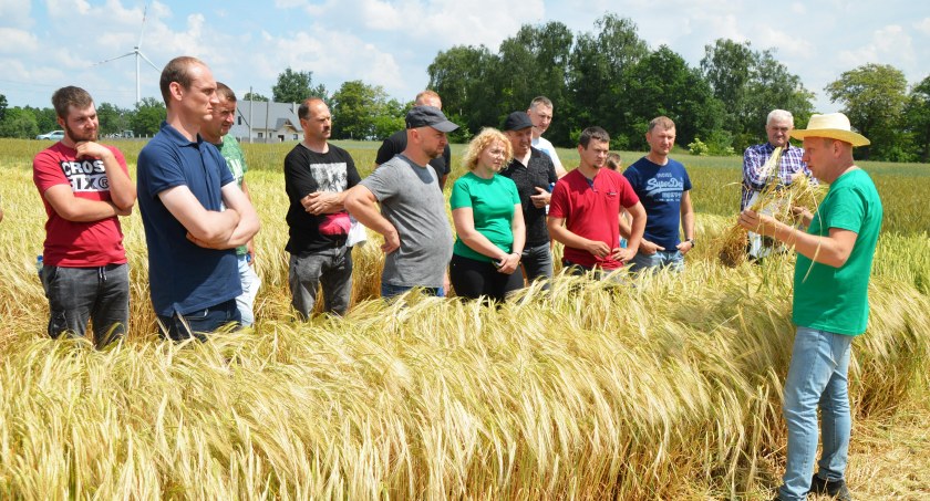 Zdjęcie z Dni Pola w Suchowoli, w gminie Rząśnia - Piotr Rozumek prezentuje odmiany zbóż