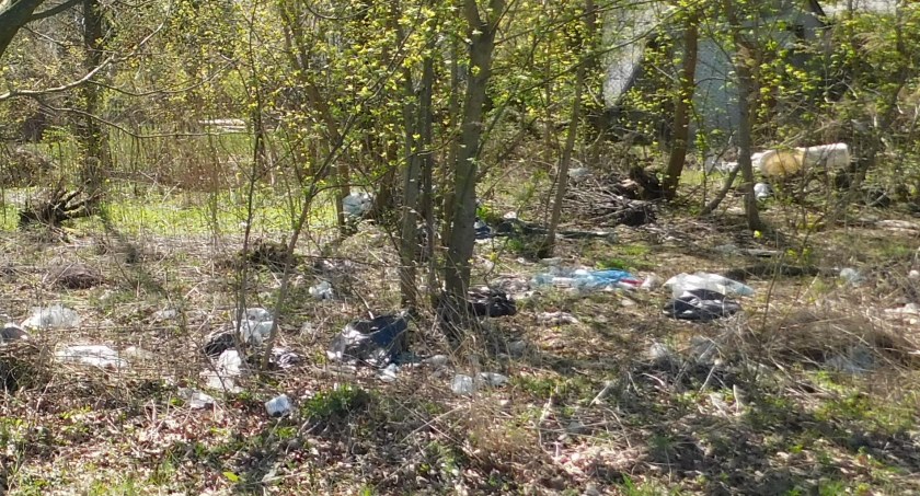 Mimo surowych kar, grożących za wyrzucanie odpadów w miejsca nieprzeznaczone, ciągle dochodzi do tego typu wykroczeń fot.: Magdalena Lizurej
