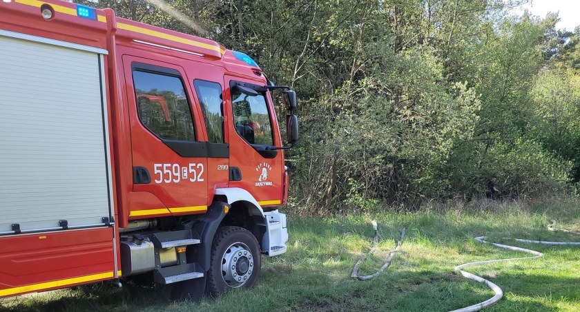 W Rychłocicach pożar strawił około jednego hektara poszycia leśnego, ogień gasiło osiem zastępów straży  fot.: arch. OSP Skrzynno