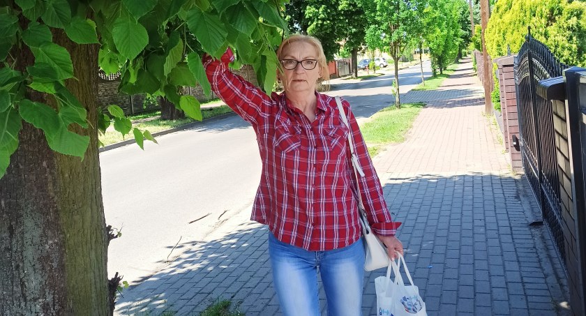 Mieszkańcy ul. Kościuszki w Wieluniu uważają, że zieleń wzdłuż drogi jest źle prowadzona. Muszą się „pokłonić drzewom”, aby przejść  fot.: Magdalena Lizurej