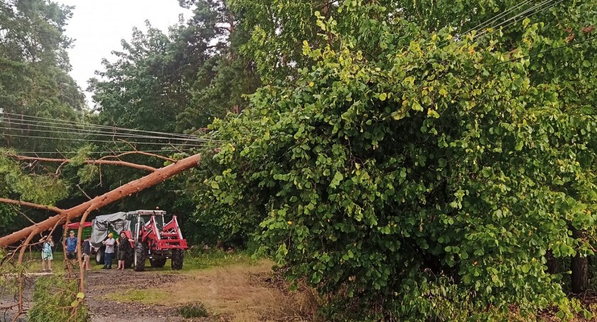 Na zdjęciu drzewo, które spadło na linie energetyczne / Fot. Facebook / OSP KSRG Strzelce Wielkie