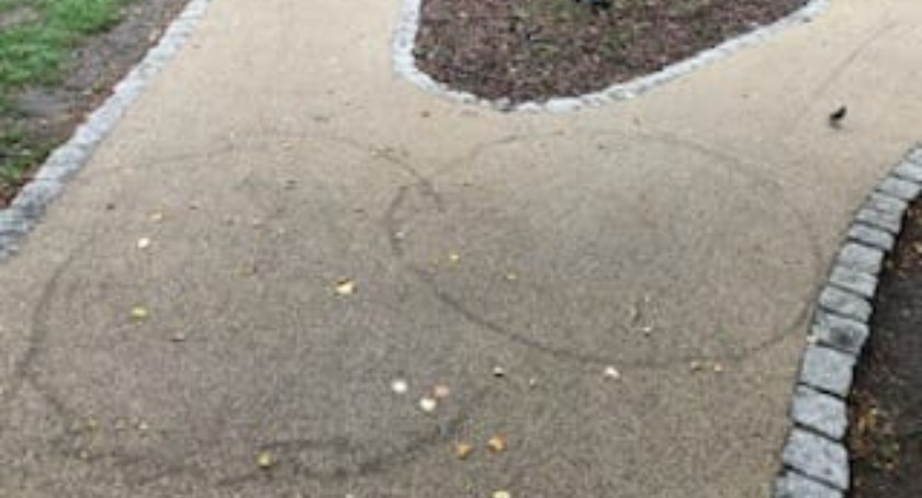 Na zdjęciu uszkodzony fragment nawierzchni parku / Fot. KPP Kępno 