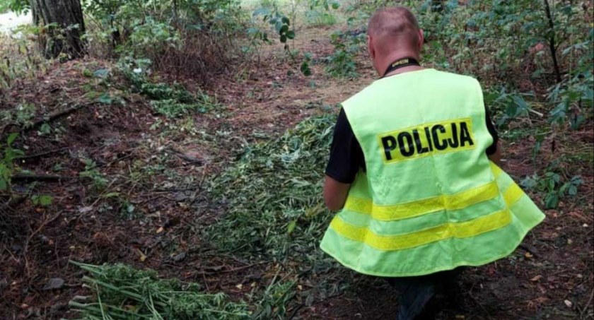 53-latek z terenu gminy Sulmierzyce, został tymczasowo aresztowany. Grozi mu nawet 10 lat więzienia fot.: archiwum policji