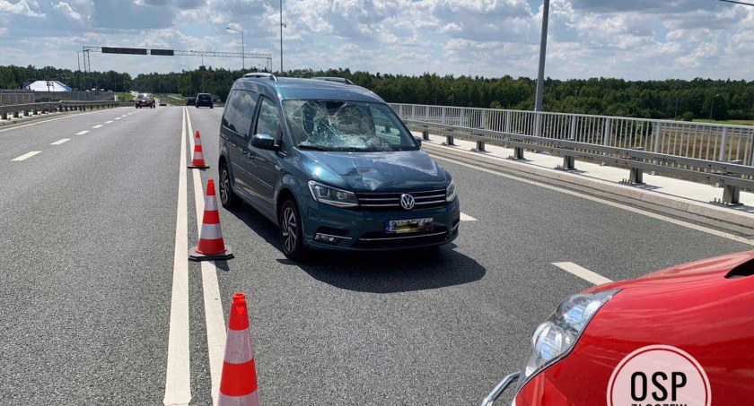 W wyniku kolizji uszkodzone zostały czołowa szyba i przód volkswagena fot.: Ochotnicza Straż Pożarna w Złoczewie 