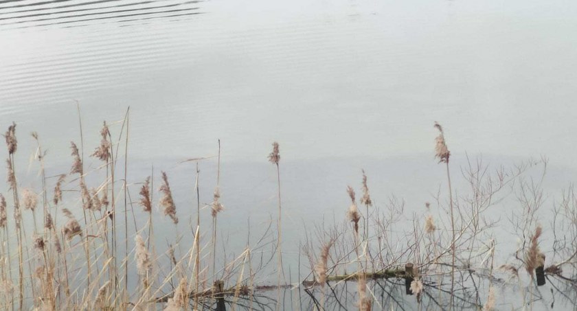 Pomimo zakazu, młody mieszkaniec powiatu wieruszowskiego zażywał kąpieli na łowisku w Górce Wieruszowskiej  fot.: archiwum Czytelnika 