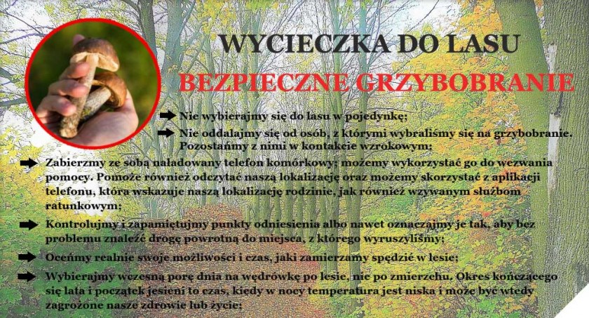 Policja przypomina podstawowe zasady bezpiecznego grzybobrania  fot.: KPP Wieluń 