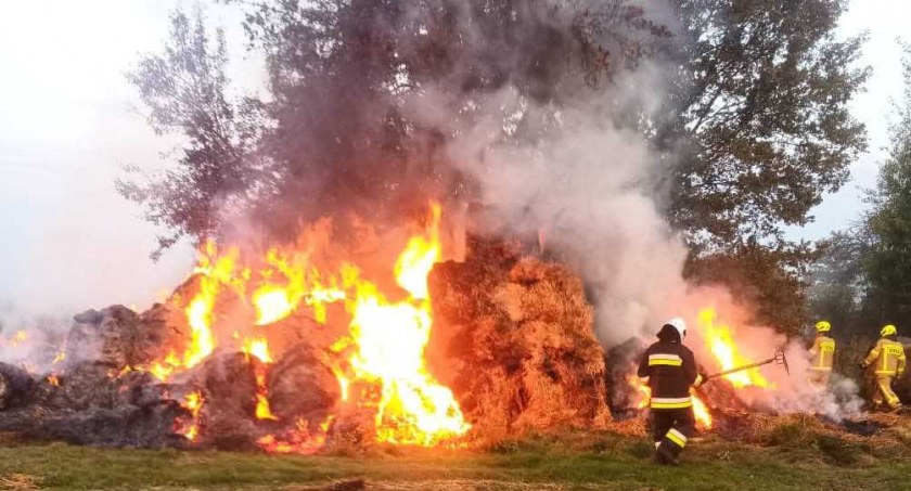 Straty po pożarze oszacowano na 6 tys. zł fot.: arch. KP PSP w Wieluniu 