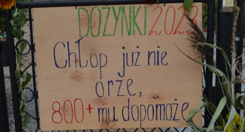 fot.: Ela Wodecka 