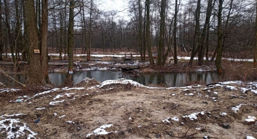 Aktualnie działoszyńska wyspa wygląda, jak widać, ale już niebawem zmieni oblicze / fot.: Przemysław Jagielski