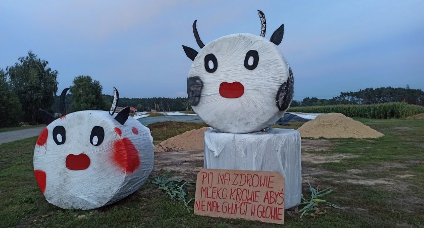zdjęcie dekoracji przed dożynkami w Walkowie/fot.: Magdalena Lizurej 