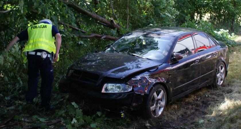 Audi A4, po zderzeniu z fiatem, wylądowało w rowie i uderzyło w drzewo fot.: KPP w Wieruszowie 
