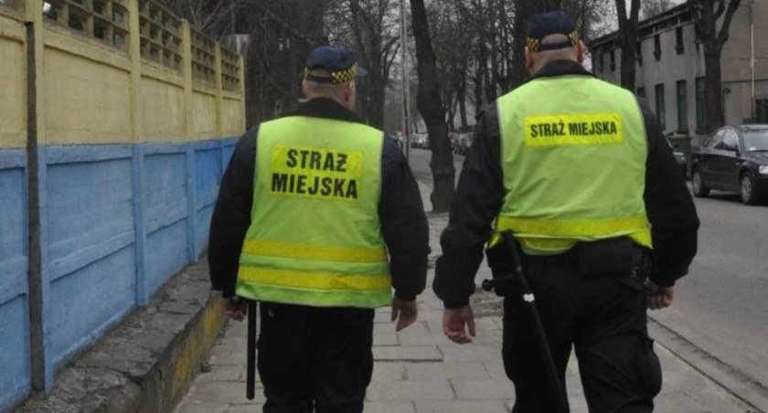 Zdjęcie ilustracyjne / Fot. Straż Miejska Pabianice