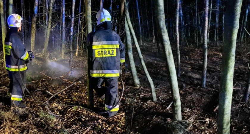 Na zdjęciu akcja gaśnicza, w której uczestniczyli strażacy z Sulmierzyc i Bogumiłowic / Fot. Facebook / OSP KSRG Sulmierzyce