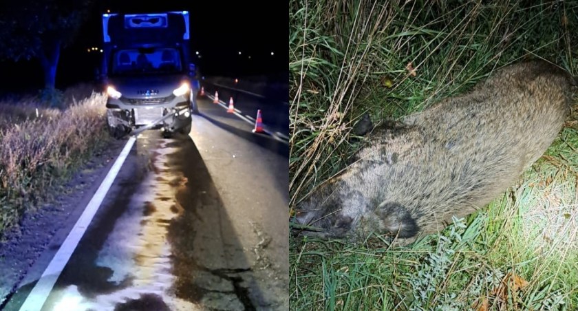 Na zdjęciu fragmenty nocnej akcji strażaków / Fot. Facebook / OSP Pątnów