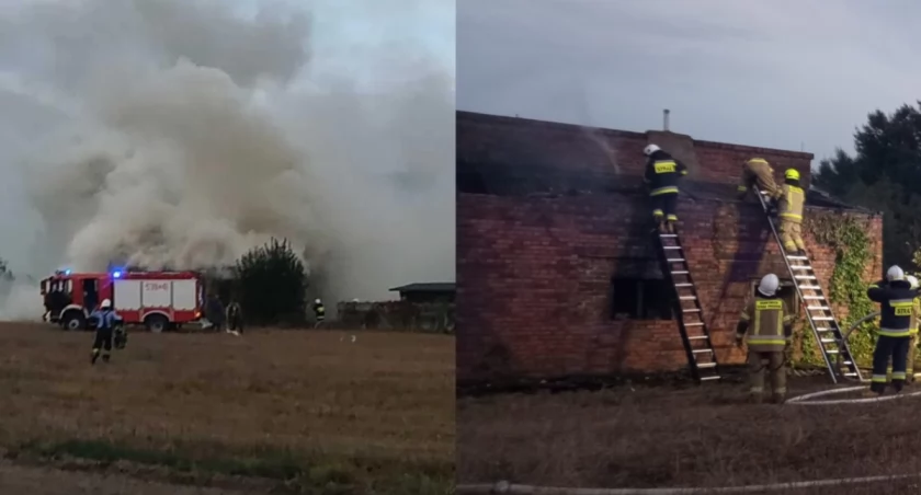 Na zdjęciu miejsce pożaru / Fot. Facebook / OSP Warta