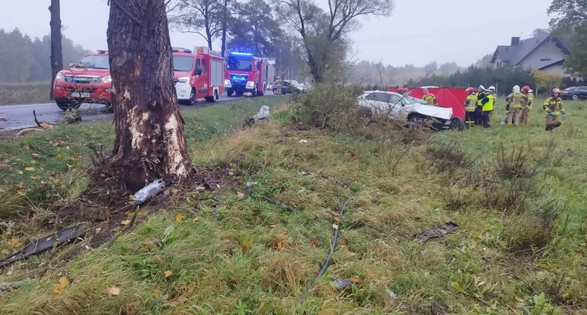 Na zdjęciu miejsce tragicznego wypadku / Fot. KP PSP w Zgierzu 