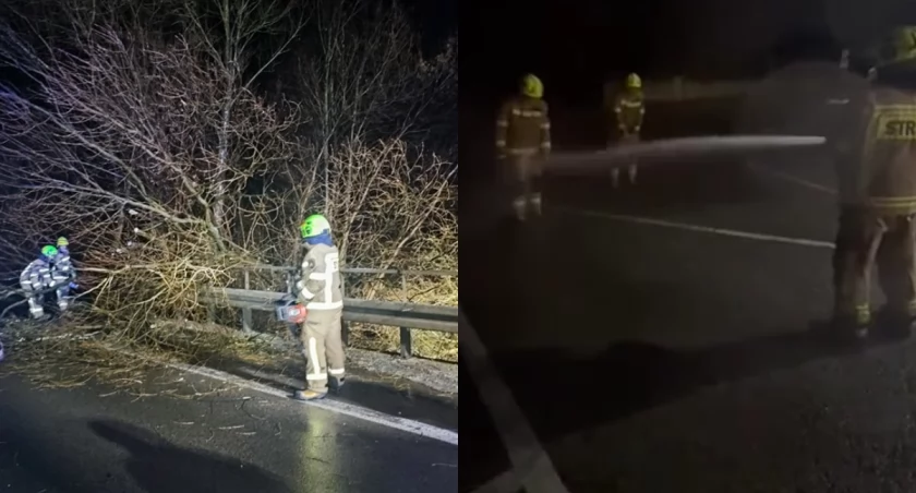 Na zdjęciu najpierw fragment akcji usuwania drzewa, a później chrztu bojowego nowych strażaków / Fot. Facebook / OSP KSRG Biała