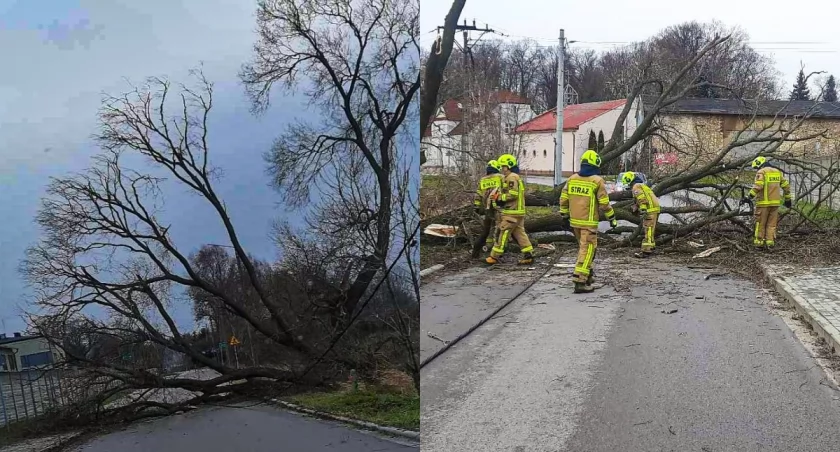 Na zdjęciu miejsce zdarzenia / Fot. Facebook / OSP KSRG Biała 