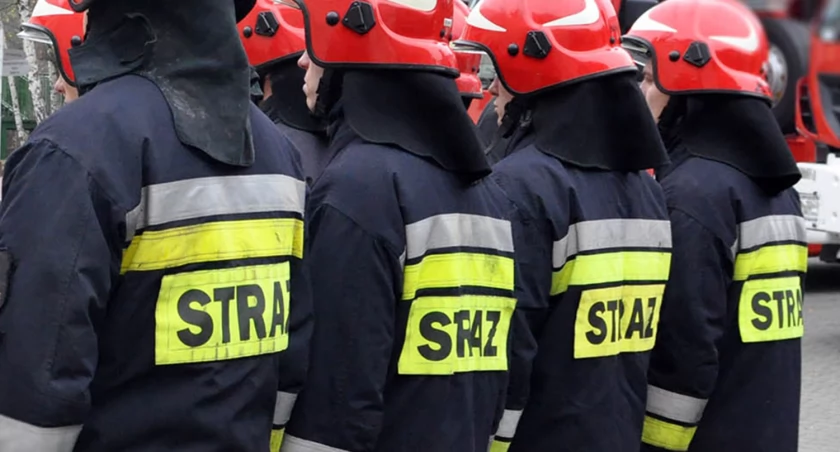 Zdjęcie poglądowe / Fot. Państwowa Straż Pożarna