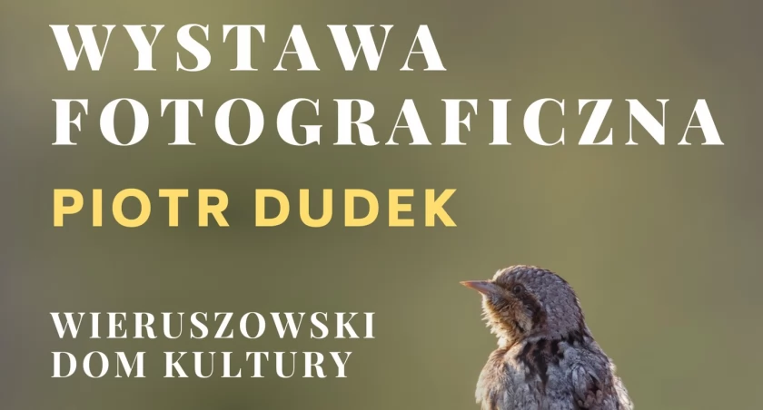 Zdjęcie ilustracyjne / Fot. Facebook / Wieruszowski Dom Kultury