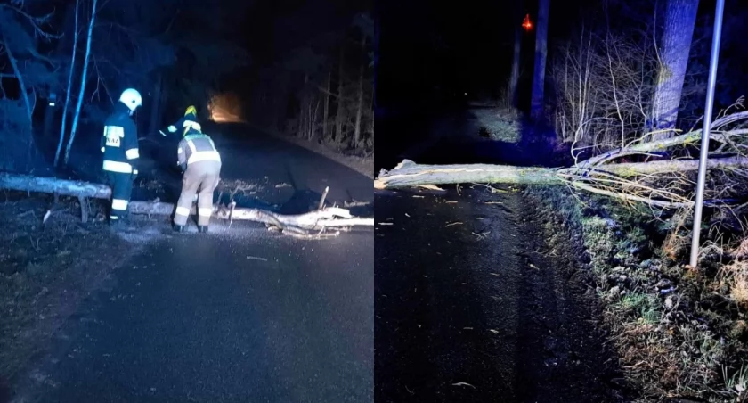 Na zdjęciu fragmenty interwencji, podczas których strażacy z Ostrówka usuwali powalone konary drzew / Fot. Facebook / OSP KSRG Ostrówek