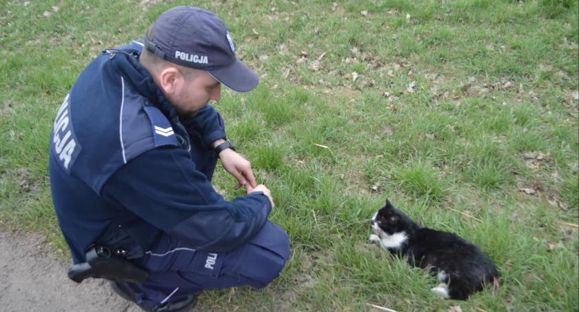 Policjanci z Praszki bardzo przyczynili się do uratowania potrąconego kotka/fot.: Ela Wodecka 