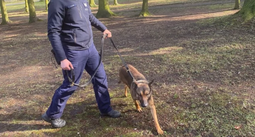 W Centrum Szkolenia Policji w Sułkowicach trwa szkolenie psa służbowego oraz jego przewodnika/fot.: KPP w Wieruszowie 