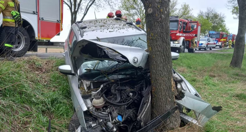 W wyniku uderzenia w drzewo, samochód został mocno uszkodzony/fot.: Michał Borczyk 
