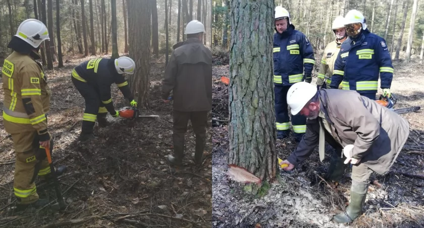 Na zdjęciu fragmenty szkolenia na terenie leśnictwa Murowaniec w Nadleśnictwie Radomsko / Fot. Facebook / Komenda Powiatowa PSP w Pajęcznie