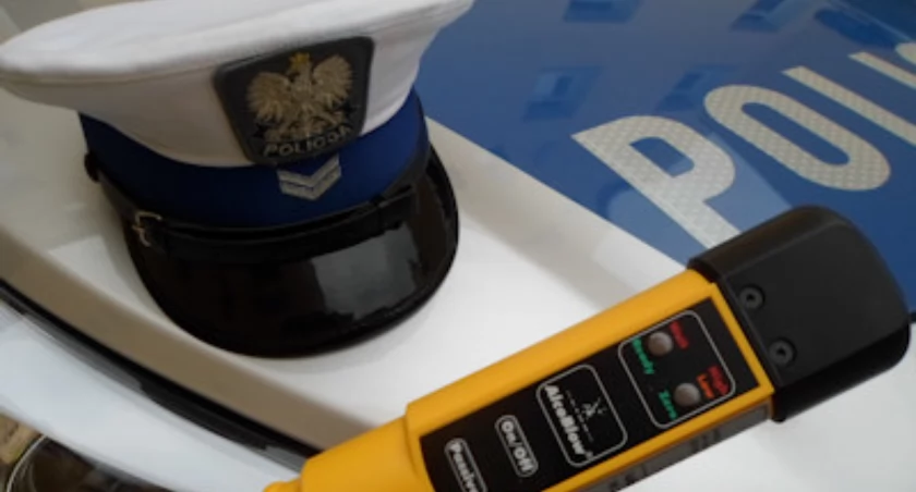 fot. Polska Policja (poglądowe)
