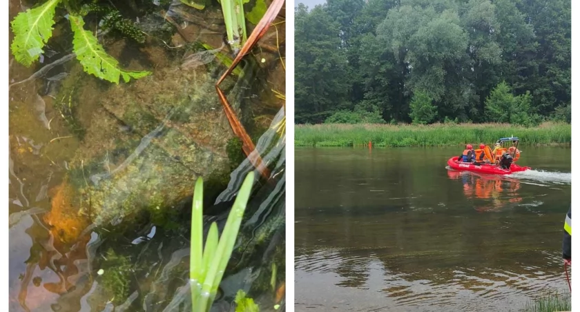 zdjęcie podczas akcji związanej ze znalezieniem niewybuchu w Krzeczowie/fot.: arch. KPP w Wieluniu 