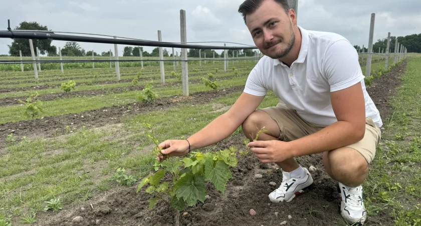 Na zdjęciu Miłosz Chrzan, właściciel winnicy w Raduckim Folwarku /fot.: Sławomir Rajch
