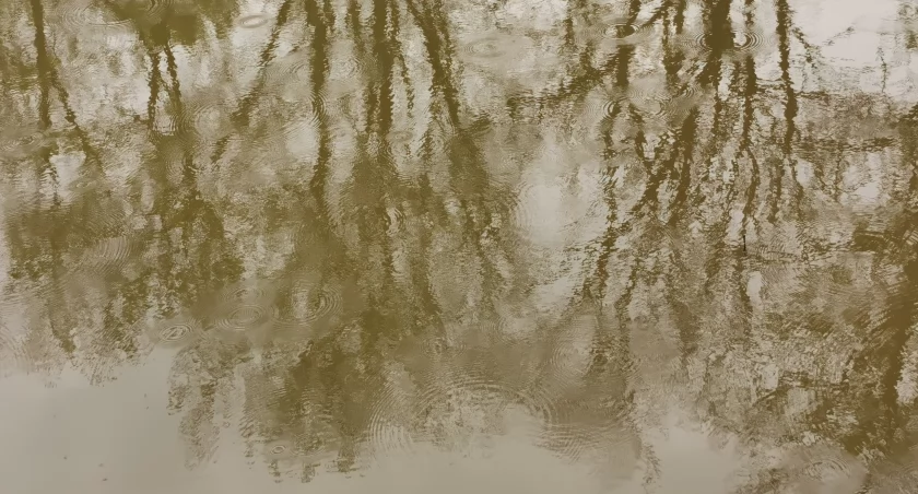 Zdjęcie poglądowe / fot.: Sławomir Rajch