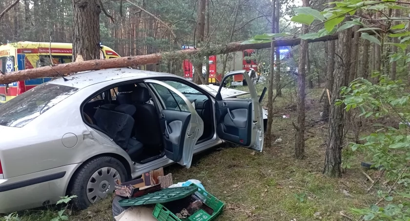 fot.: OSP w Kraszkowicach 