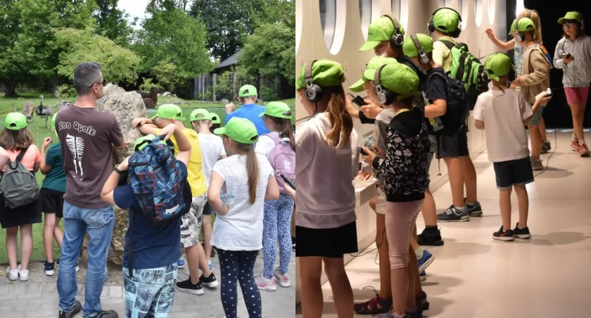 Na zdjęciu fragmenty półkolonii w Powiatowym Młodzieżowym Domu Kultury w Wieluniu / Fot. Facebook / Powiatowy Młodzieżowy Dom Kultury i Sportu w Wieluniu