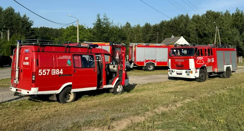 Zdjęcie z Klusek, w gminie Pątnów - akcja po użądleniu przez osę / fot.: Sławomir Rajch