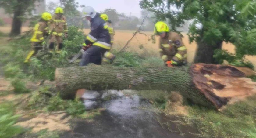 Zdjęcia z usuwania skutków wichury w gminie Sulmierzyce / fot.: OSP KSRG Sulmierzyce
