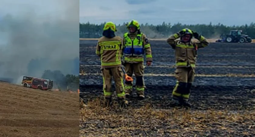 Zdjęcia z pożaru w m. Kodrań w gminie Sulmierzyce / fot.: OSP KSRG Sulmierzyce