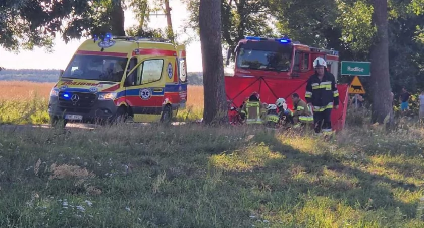 Zdjęcie z wypadku w Skrzynnie