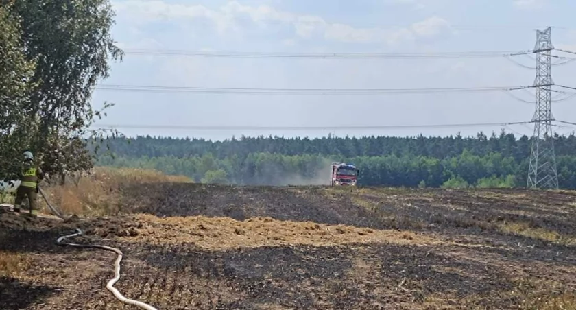 Na zdjęciu miejsce pożaru zboża w Kolonii Strobin / Fot. Grzegorz Porucznik / Kulisy Powiatu