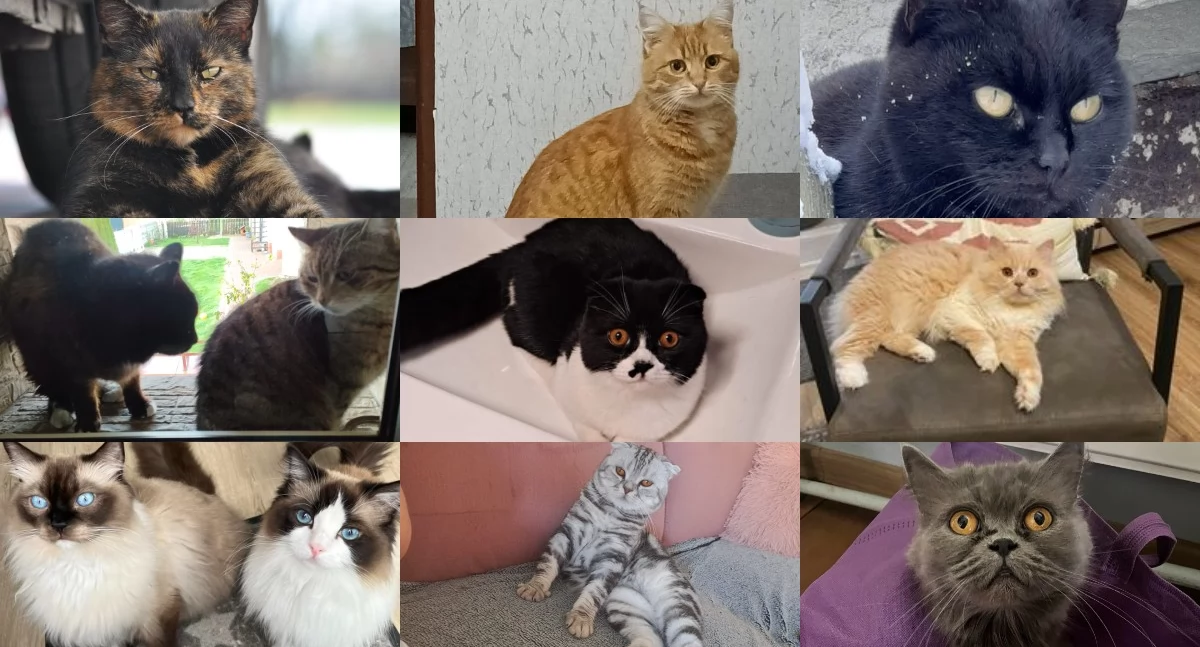 Zdjęcie poglądowe / Fot. Facebook / Kulisy Powiatu