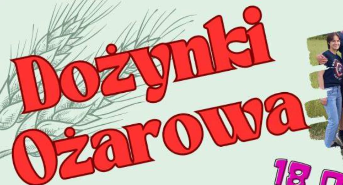 Zdjęcie poglądowe