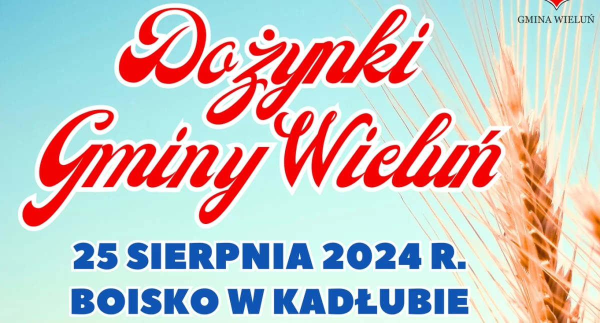 Zdjęcie poglądowe