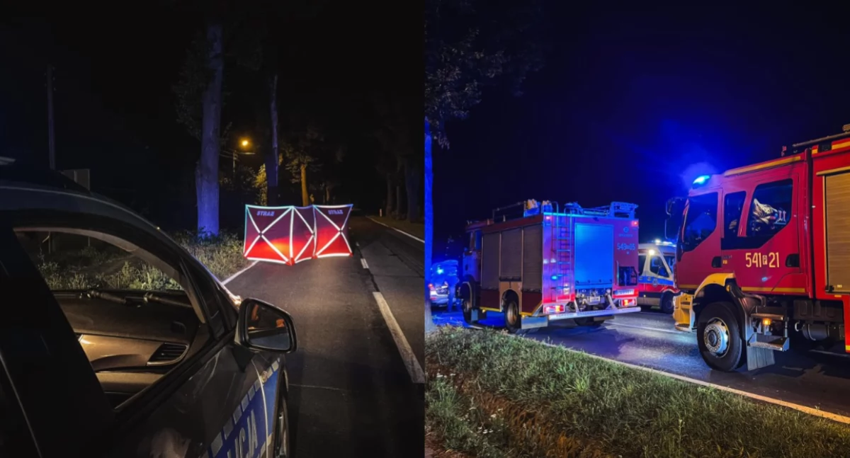 Na zdjęciu miejsce śmiertelnego wypadku / Fot. Facebook / Komenda Powiatowa Państwowej Straży Pożarnej w Ostrzeszowie 
