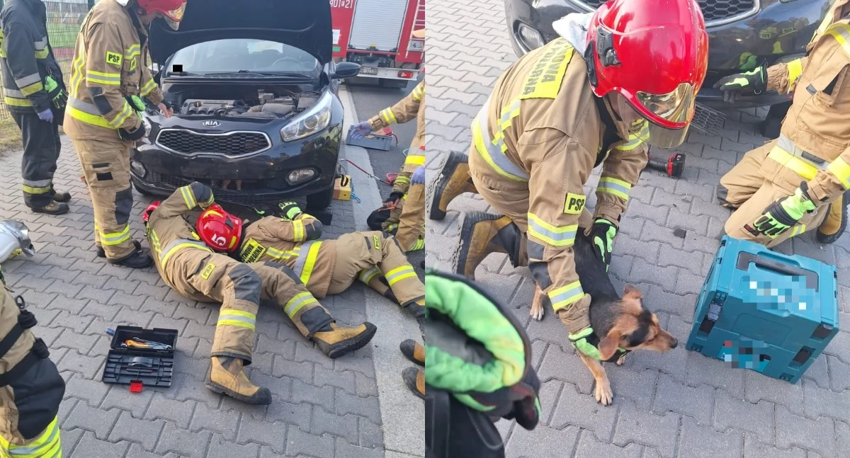 Na zdjęciu miejsce zdarzenia w Kleszczowie / Fot. KPP Bełchatów 