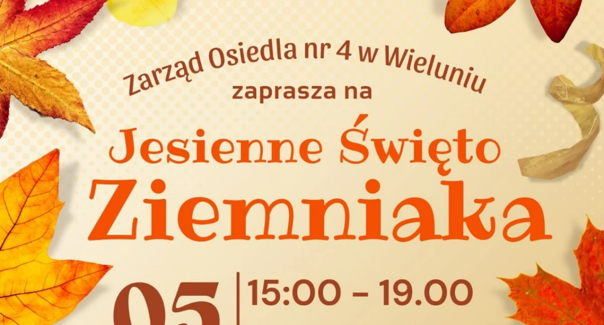 Zdjęcie poglądowe