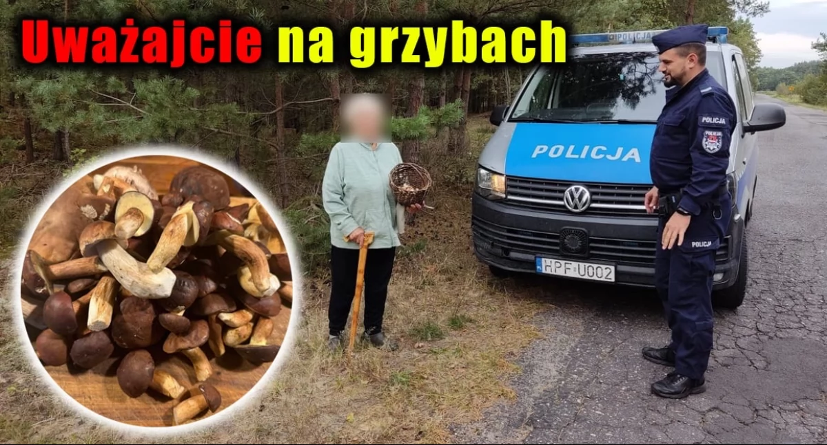 zdjęcia z grzybobrania z policją /fot: KPP w Wieruszowie