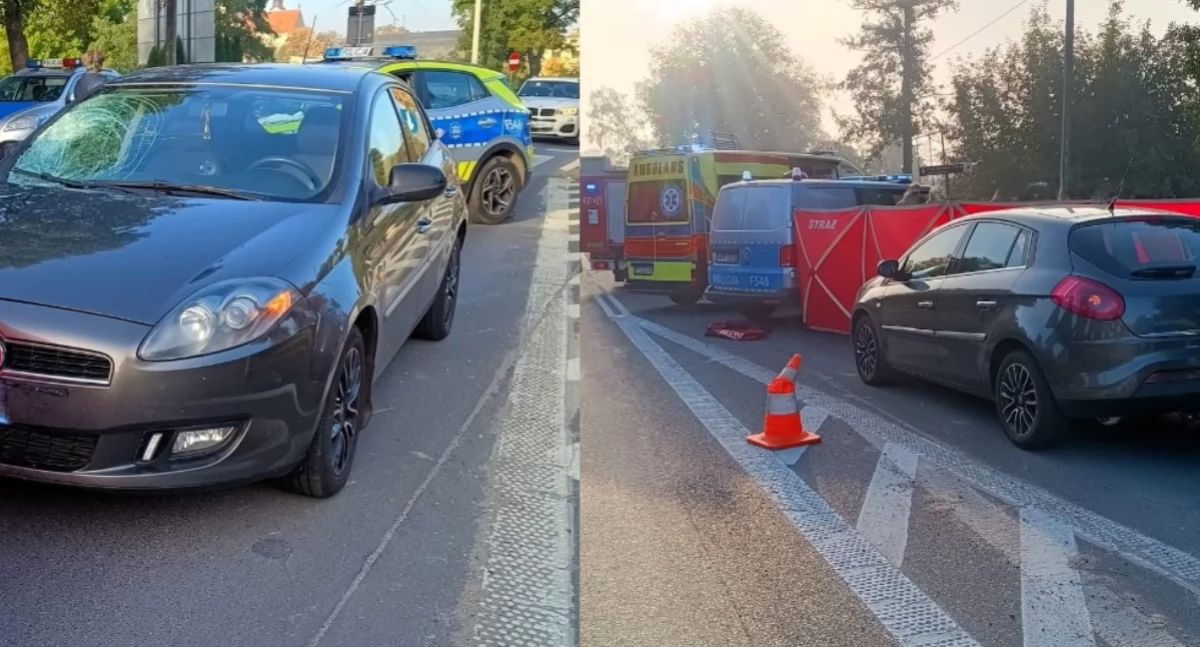 Na zdjęciu miejsce tragicznego wypadku / Fot. KPP Łask