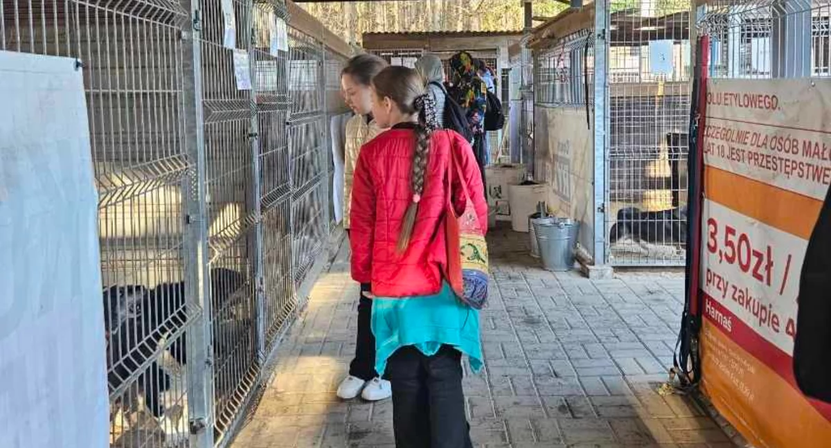 Na zdjęciu uczniowie, którzy odwiedzili schroniska dla zwierząt w Trębaczewie / Fot. Facebook / Szkoła Podstawowa im. Powstańców Styczniowych w Osjakowie